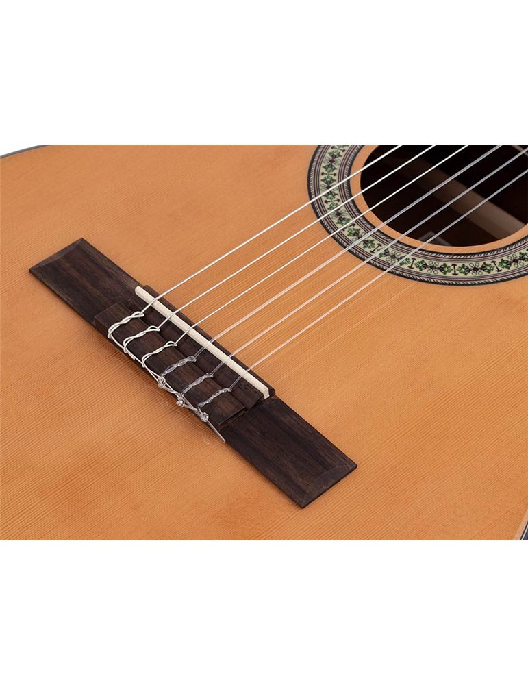 Guit. 7/8 Salvador abeto/sapeli brillo