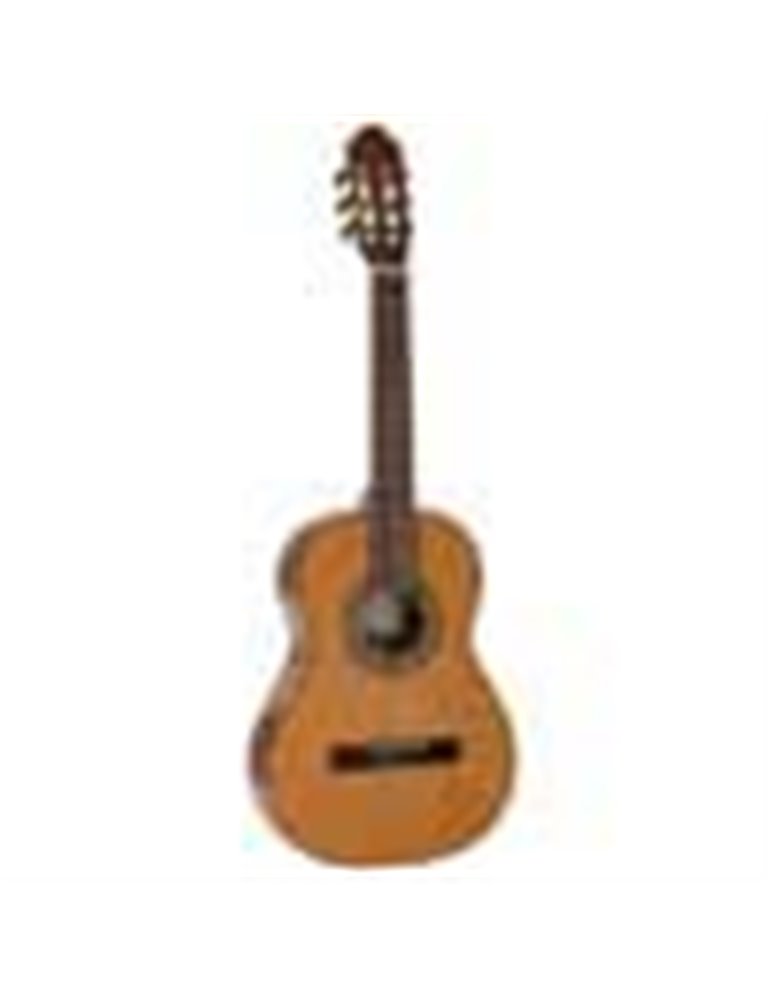 Guit. 7/8 Salvador abeto/sapeli brillo