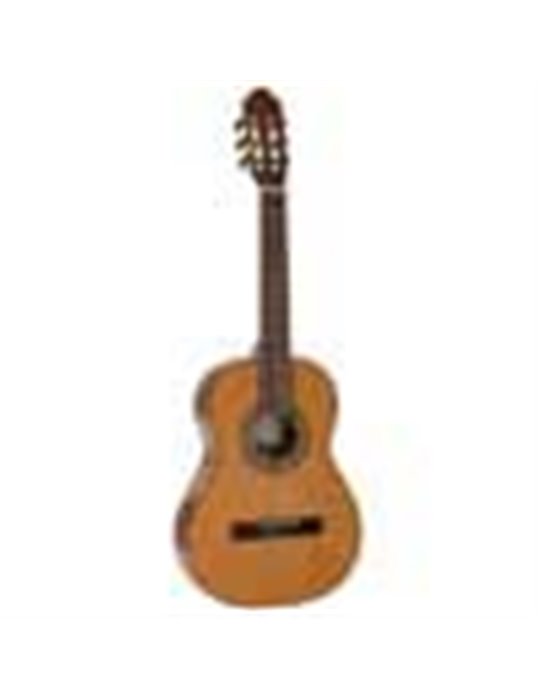 Guit. 7/8 Salvador abeto/sapeli brillo