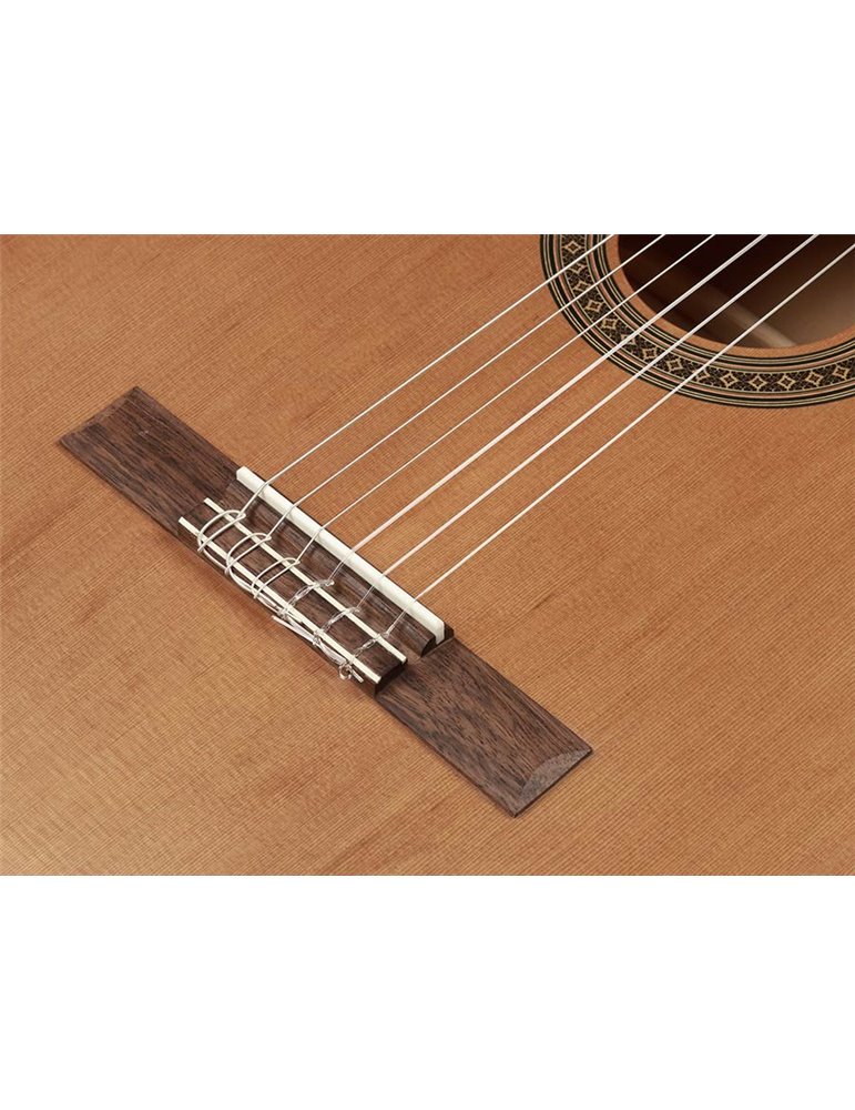 Guit. Salvador Cortez cedro/agathis satinado