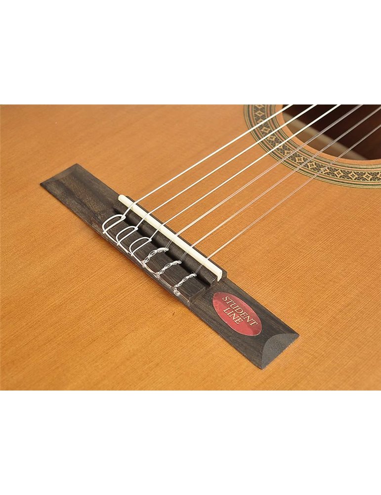 GUITARRA CLÁSICA SERIE ESTUDIO 1/4 SALVADOR CORTEZ CEDRO/AGATHIS SATINADO