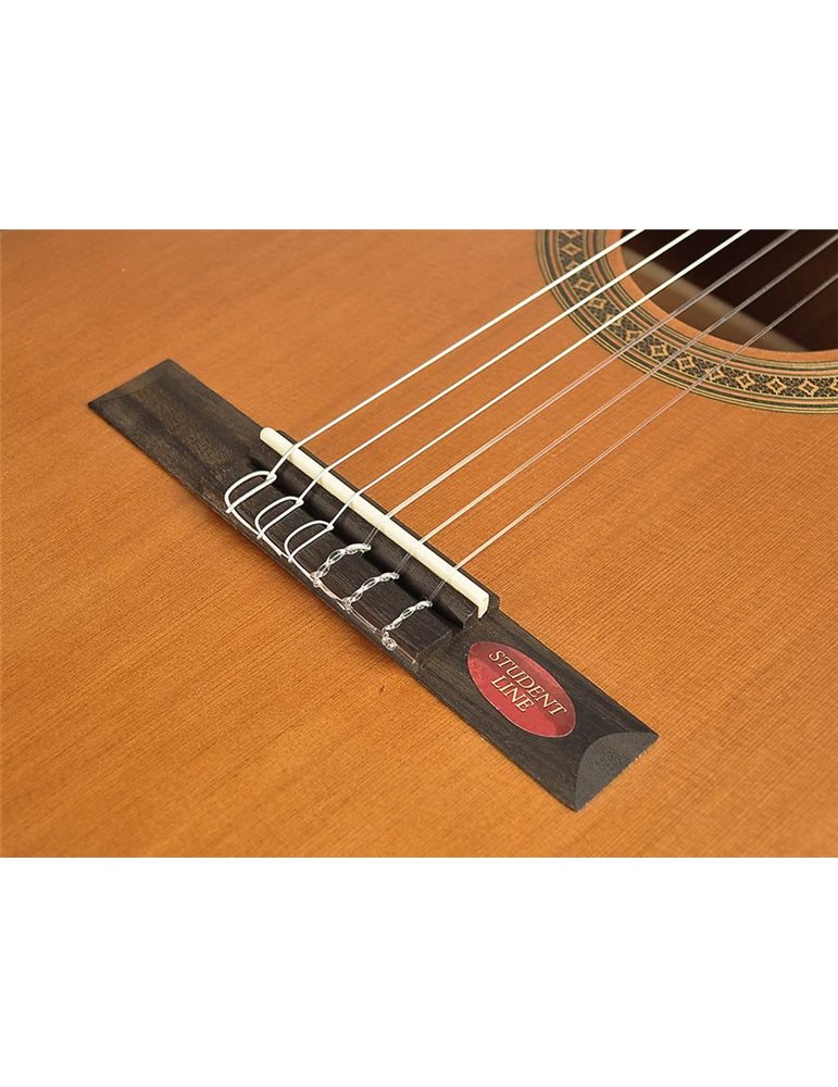 Guit. 7/8 Salvador Cortez cedro/agathis satinado