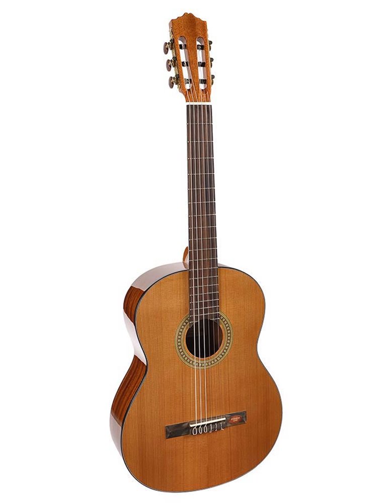 Guit. Salvador Cortez cedro/sapeli natural