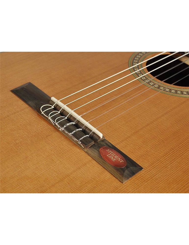 Guit. Salvador Cortez cedro/sapeli natural