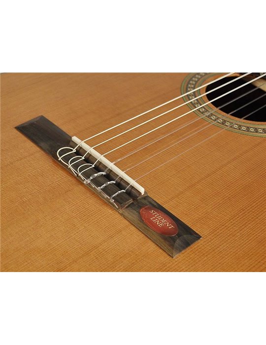 Guit. Salvador Cortez cedro/sapeli natural