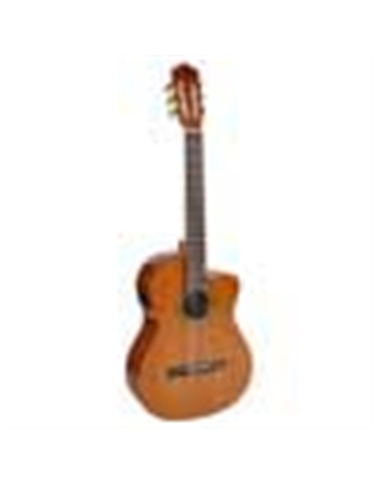 Guit. EC Salvador Cortez cedro/sapeli