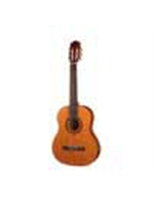 Guit. 3/4 Salvador Cortez cedro/sapeli