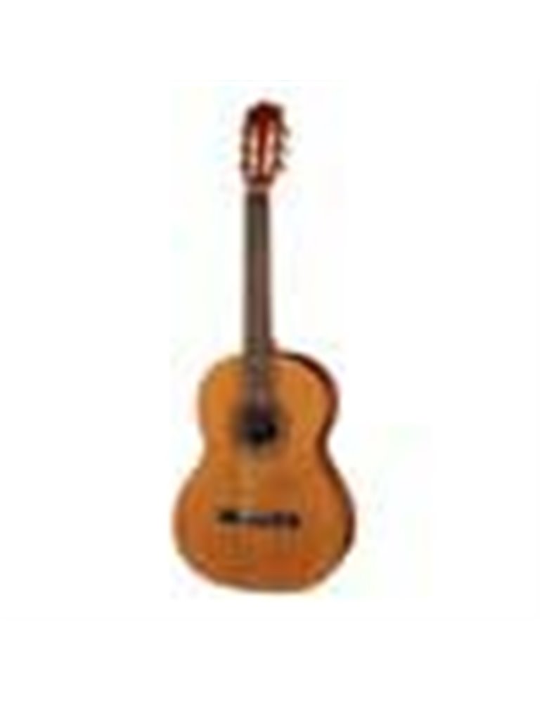 Guit. 7/8 Salvador Cortez cedro/sapeli