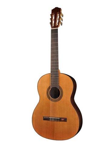 Guit. Salvador Cortez cedro/nogal negro