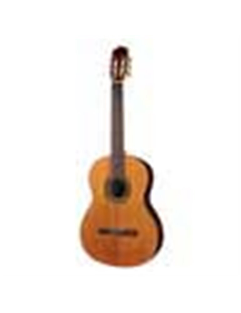 Guit. Salvador Cortez cedro/nogal negro