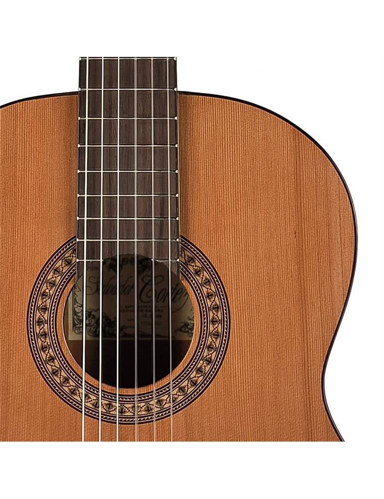 Guit. Salvador Cortez cedro macizo/sapeli brillo