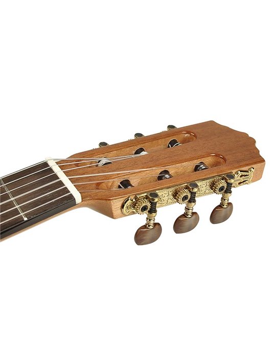 Guit. Salvador Cortez cedro macizo/sapeli brillo