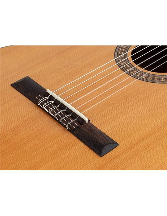 Guit. Salvador Cortez cedro macizo/sapeli brillo