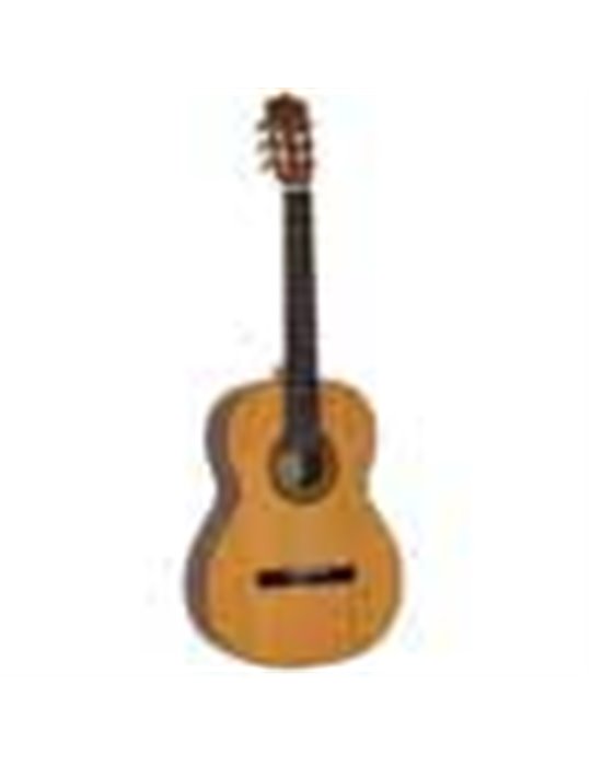 Guit. Salvador Cortez cedro macizo/sapeli brillo