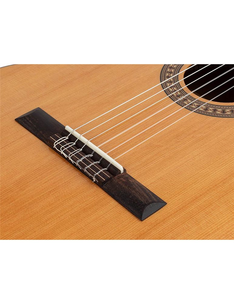 Guit. EC Salvador Cortez cedro macizo/sapeli