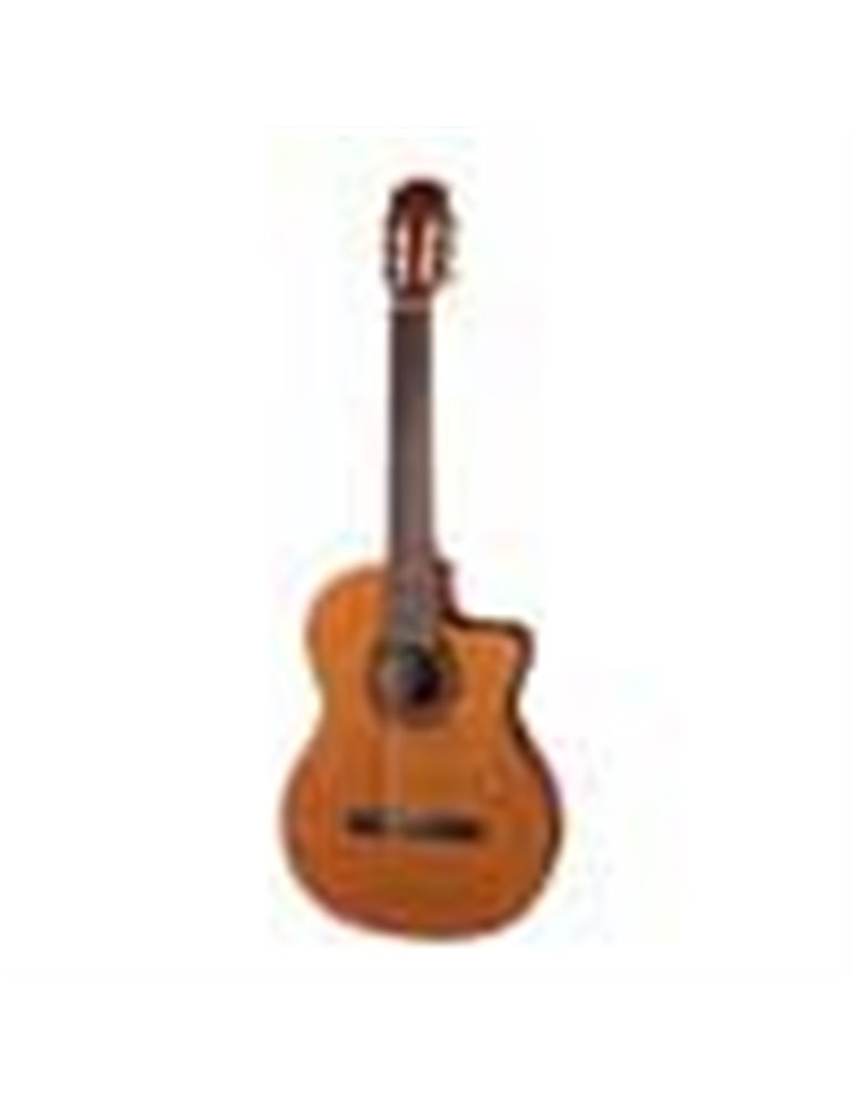 Guit. EC Salvador Cortez cedro macizo/sapeli