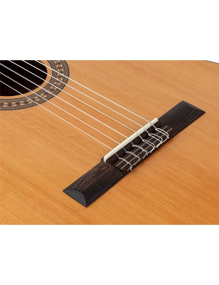 Guit. EC Salvador Cortez cedro macizo/sapeli zurda