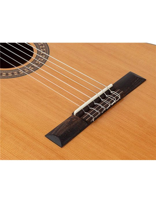 Guit. EC Salvador Cortez cedro macizo/sapeli zurda