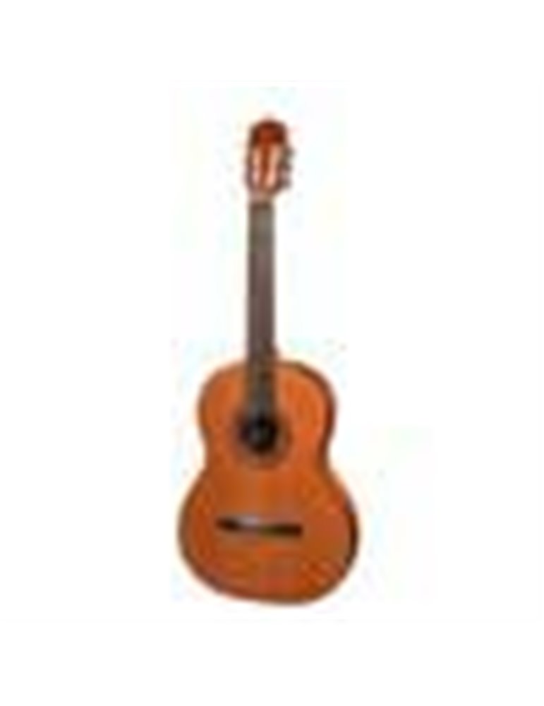 Guit. 7/8 Salvador Cortez cedro macizo/sapeli bri.