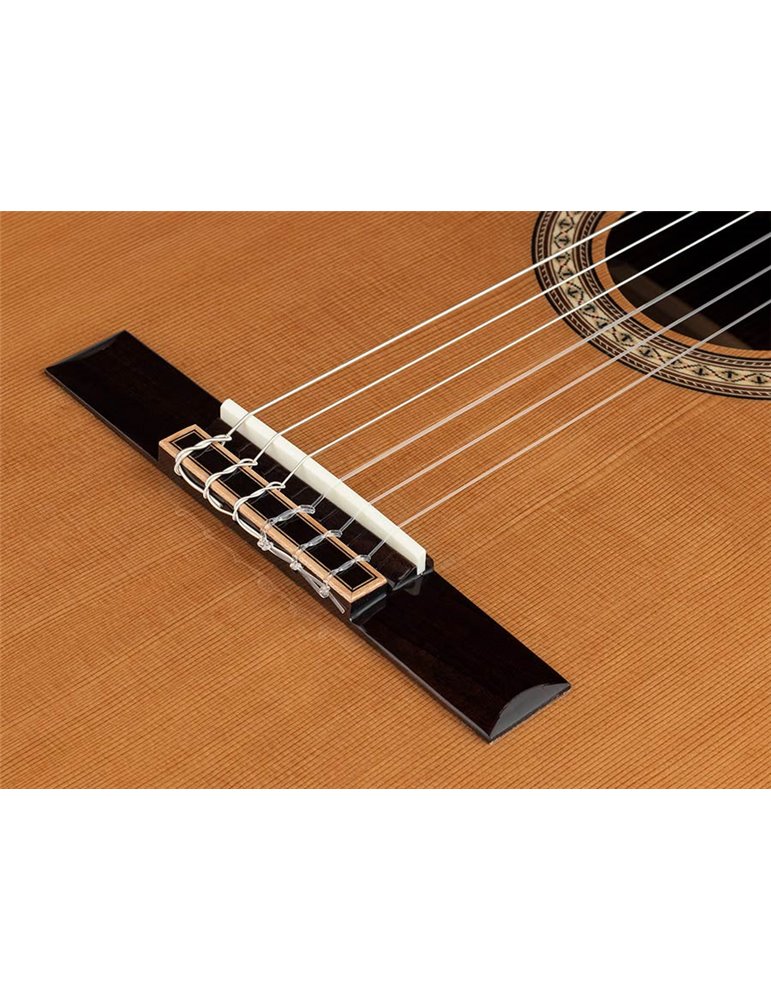 Guit. EC Salvador Cortez cedro macizo/palisa. bri.