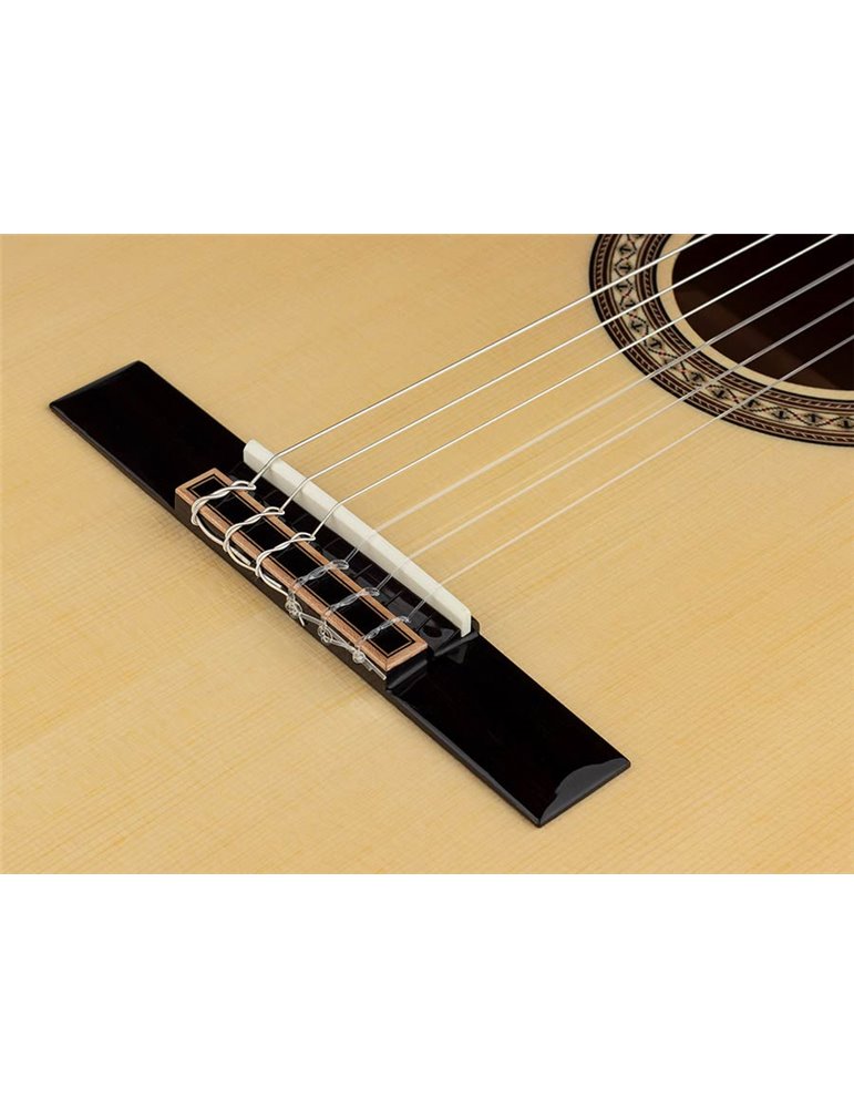 Guit. Salvador Cortez abeto macizo/arce flam. bri.