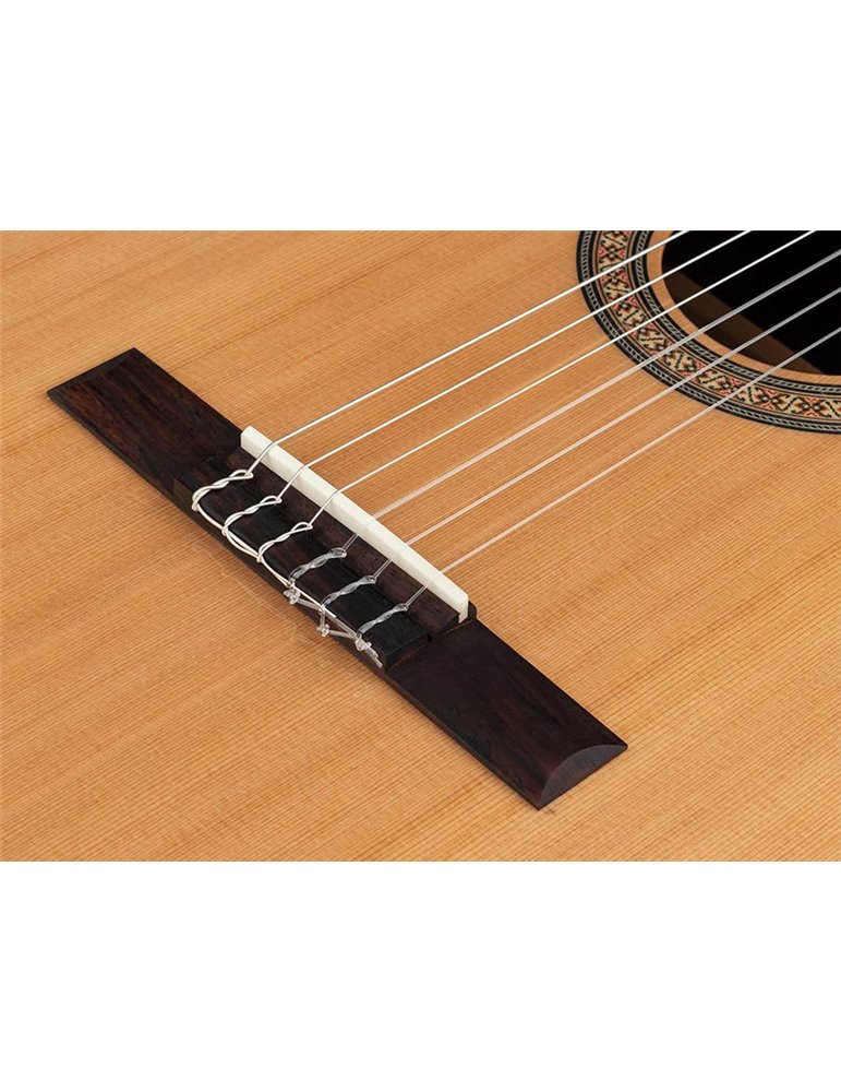 Guit. Salvador Cortez cedro macizo/palosa. brillo