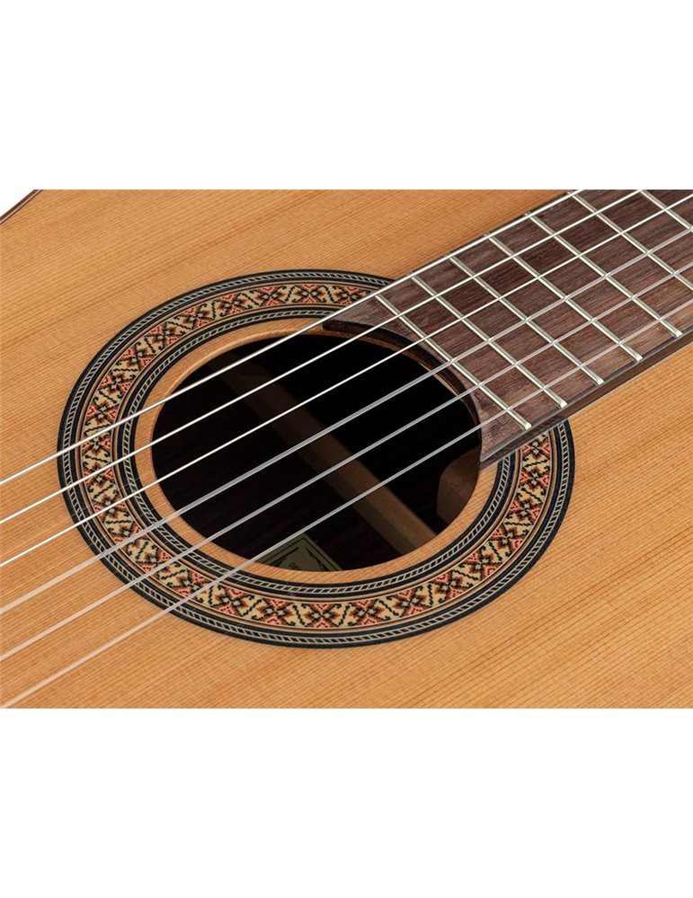 Guit. Salvador Cortez cedro macizo/palosa. brillo