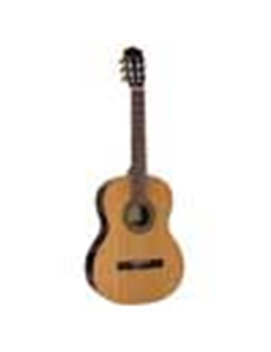 Guit. Salvador Cortez cedro macizo/palosa. brillo