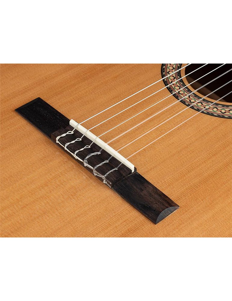 Guit. 1/2 Salvador Cortez cedro macizo/sapeli bri.