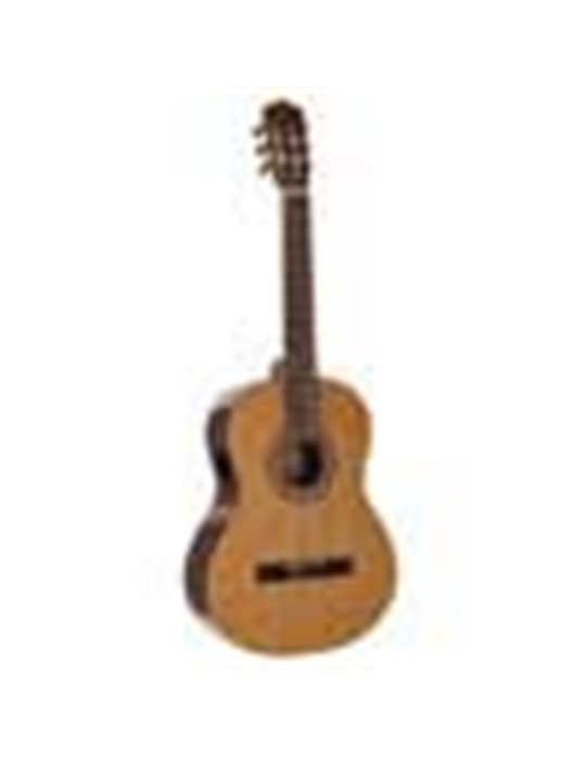 Guit. E Salvador Cortez cedro macizo/sapeli bri.