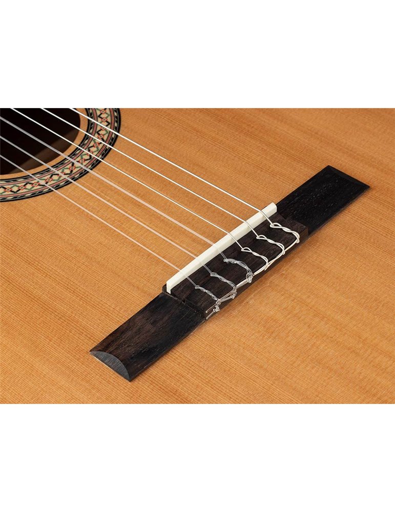 Guit. Salvador Cortez cedro macizo/sapeli zurda