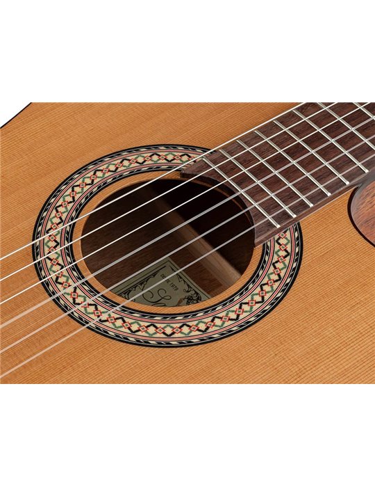 Guit. Cross. EC Salvador Cortez cedro maci./sapeli