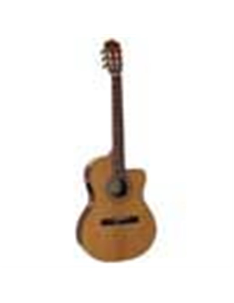 Guit. Cross. EC Salvador Cortez cedro maci./sapeli