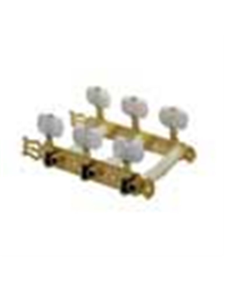 Clavijero Salvador Cortez dorado/nacar