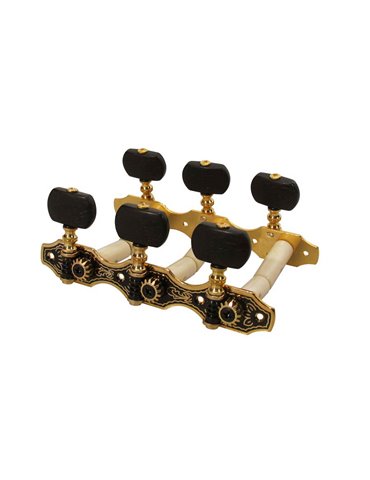 Clavijero Salvador Cortez dorado/negro