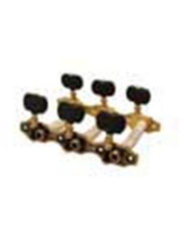 Clavijero Salvador Cortez dorado/negro 2