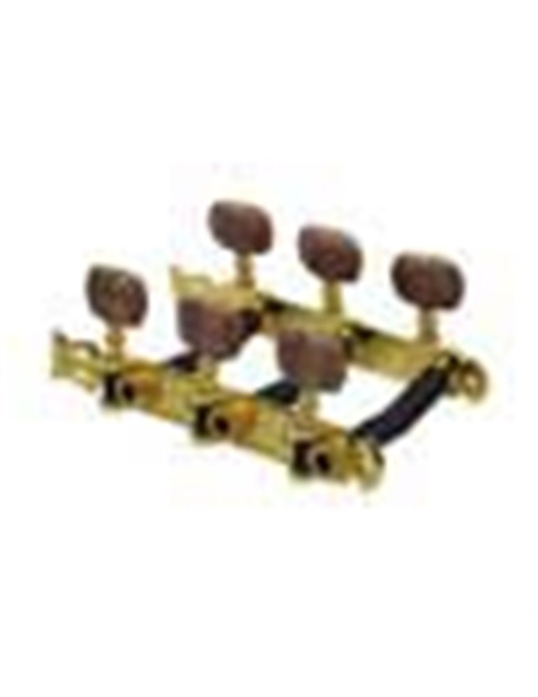 Clavijero Salvador Cortez dorado/ámbar