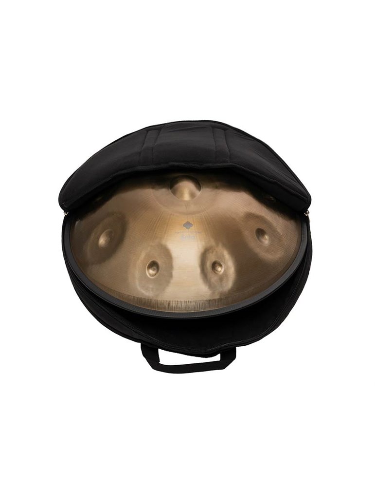 stainless steel handpan D Amara (440 hz, with padd