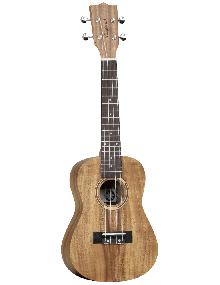 UKELELE CONCIERTO TANGLEWOOD TWT8