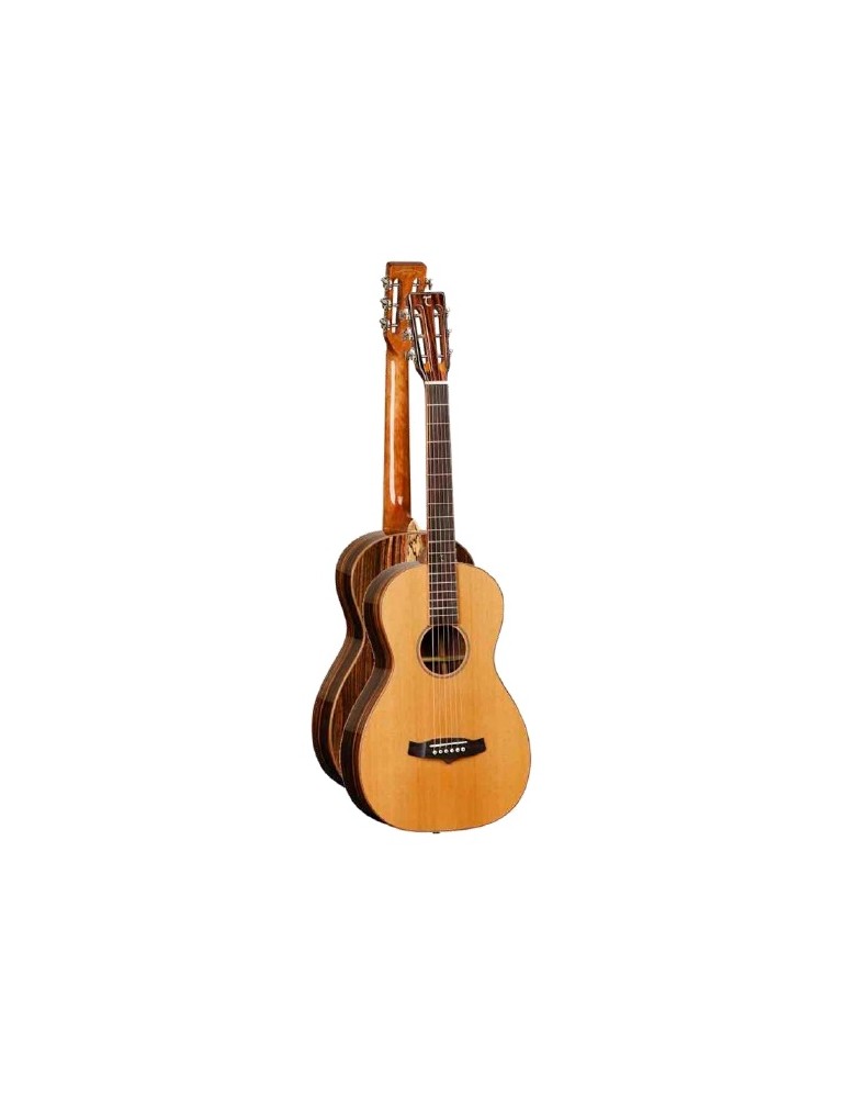 GUITARRA ACÚSTICA TANGLEWOOD TWJPE PARLOUR