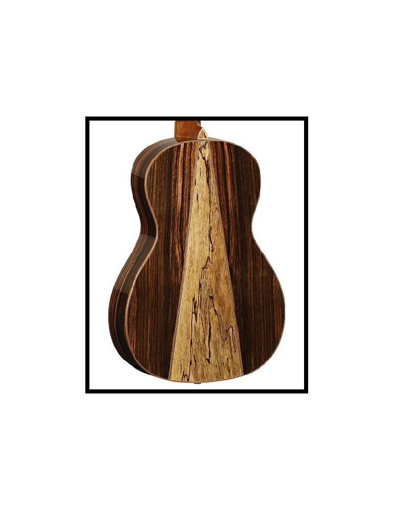 GUITARRA ACÚSTICA TANGLEWOOD TWJPE PARLOUR