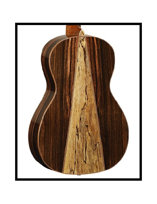 GUITARRA ACÚSTICA TANGLEWOOD TWJPE PARLOUR