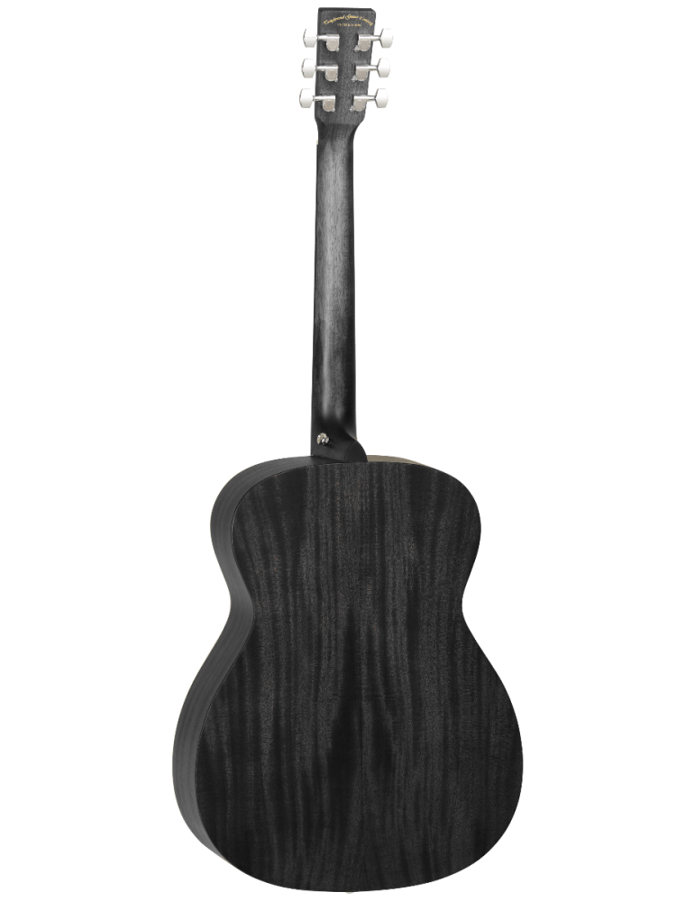GUITARRA ACÚSTICA TANGLEWOOD BLACK BIRD ORCHESTRA TWBBOE
