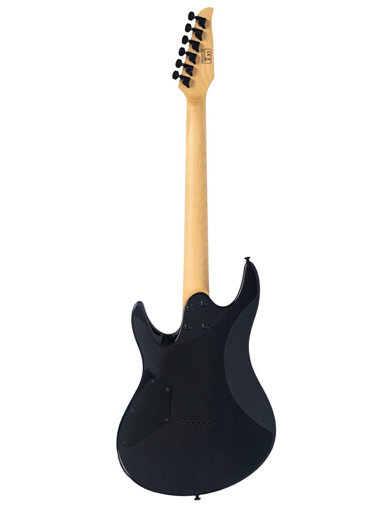 Y5 TRANS BLACK