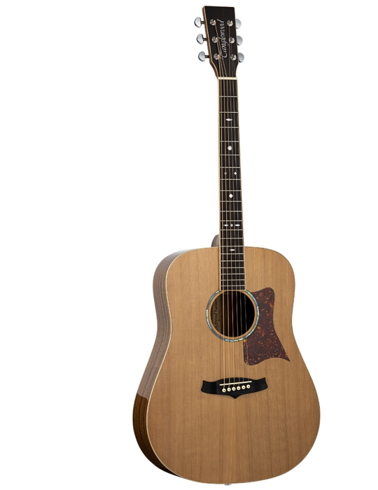GUITARRA ACÚSTICA TANGLEWOOD TW15R SERIE SUNDANCE PERFORMANCE PRO