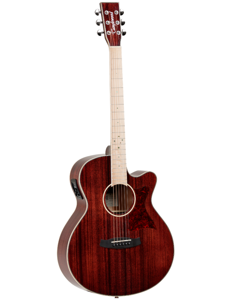 GUITARRA ACÚSTICA TANGLEWOOD TW4BLB SERIE WINTERLEAF BLONDE