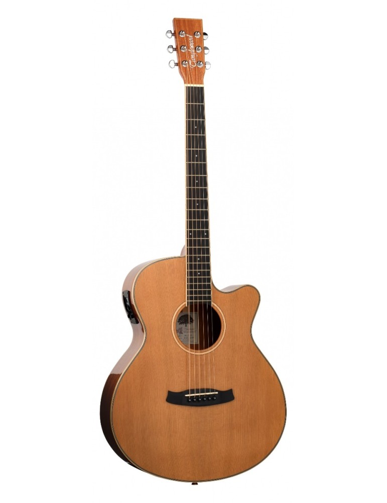 GUITARRA ACÚSTICA TANGLEWOOD SUPER FOLK CUTAWAY