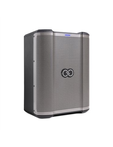 Sheeran Loopers - Busker SE