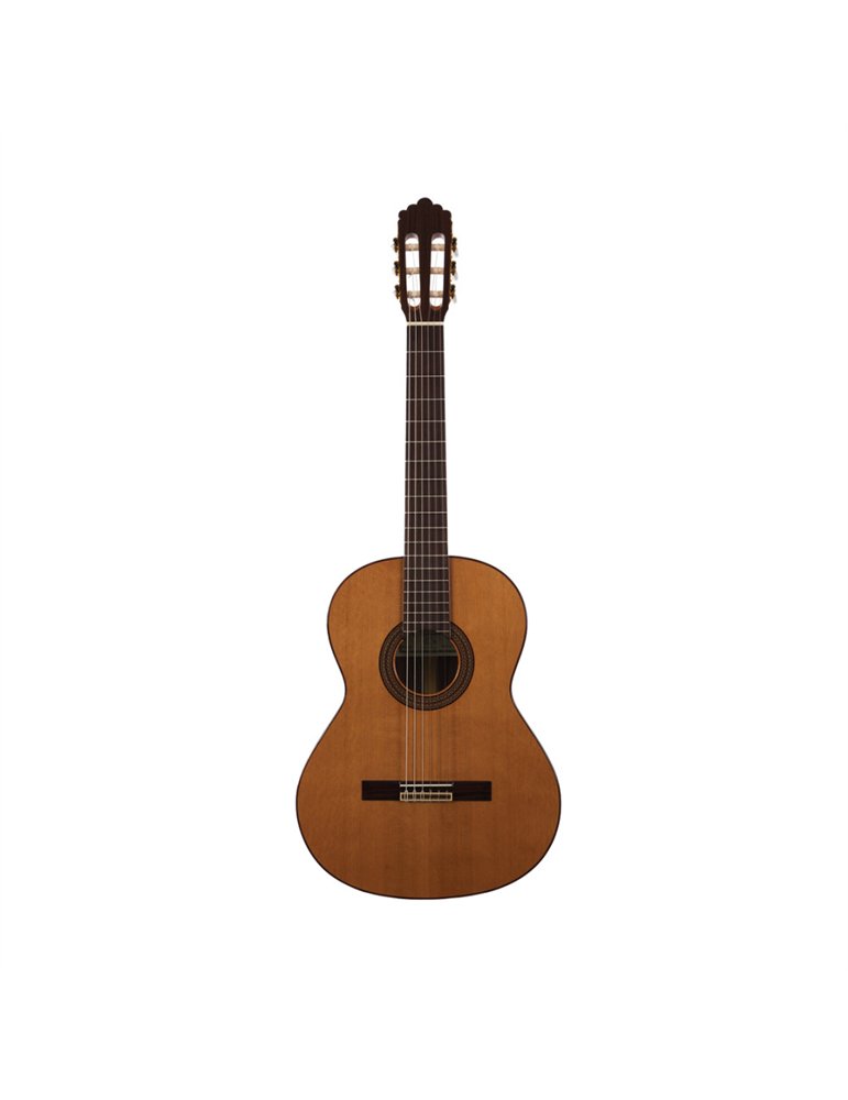 Guitarra Clásica Altamira N300+