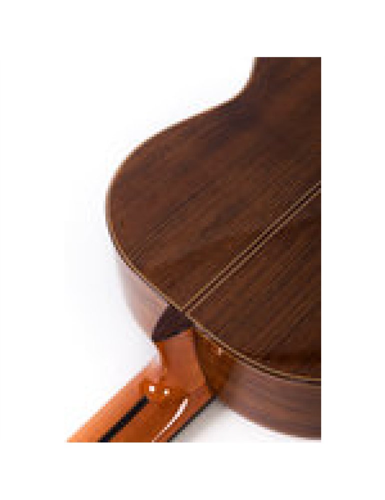 Guitarra Clásica Altamira N500+